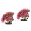 2 Pcs Árvore Decorativa Artificial Para Escritório 4