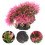 2 Pcs Árvore Decorativa Artificial Para Escritório 10
