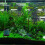 1 De Submersível Para Com Eu 3