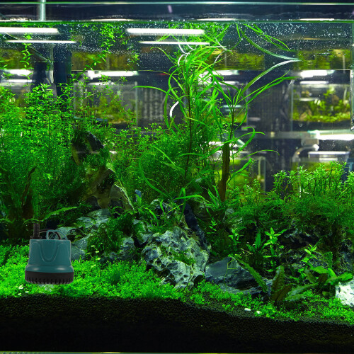 1 De Submersível Para Com Eu 2