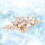 2 Pezzi Pettini Sposa Con Accessorio Per (S8106) 10