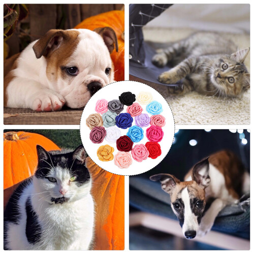 20 Per Collare In Chiffon Assortito 2