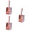 3Pcs Concha Para De , De , Recolhedor Para 7