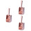 3Pcs Concha Para De , De , Recolhedor Para 6