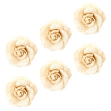 6St Schoenenbloemen DIY Beige Kledingdecoratie Accessoires