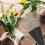 200 Blumenhüllen Für Verpackung Valentinstag 10