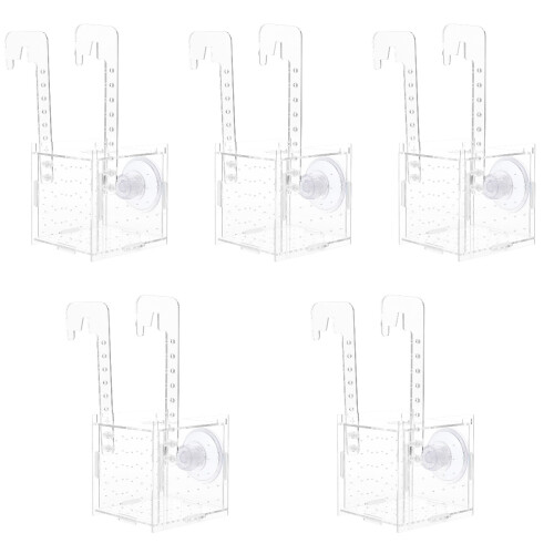 5 Transparante Incubatiebox Jonge Visaccessoire 2