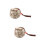 2 . Pet Ashes Storage Pot, Keramik, Für Tierasche 8