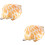 2Pcs Cartoon Conch Throw Pillow Plush Coastal Decor 8
