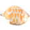 2Pcs Cartoon Conch Throw Pillow Plush Coastal Decor 3