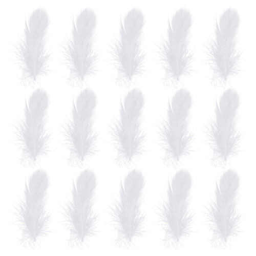 600 Pezzi Piume Decorative Per Matrimonio E Casa