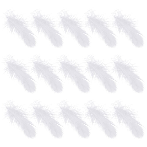 600 Pezzi Piume Decorative Per Matrimonio E Casa 1