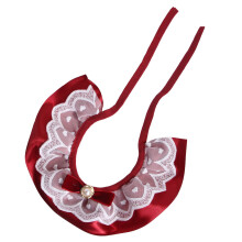 Pet Costume com e Decorativo