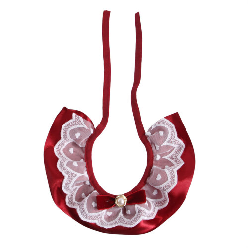 Pet Costume com e Decorativo 1