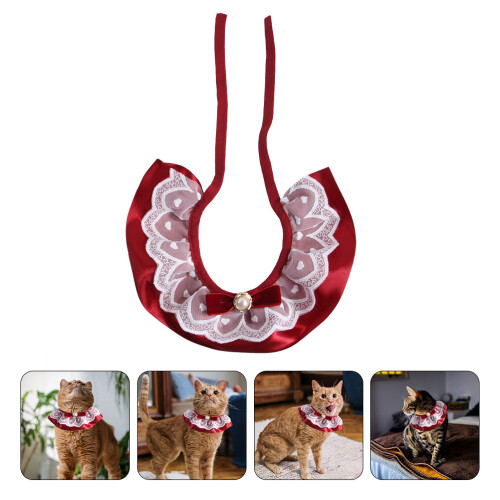 Pet Costume com e Decorativo 2