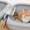 2 Unidades Para Gatinho Extra Resistente 11