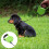 2 Unidades Trela Multifuncional Para Cão De Exterior 9