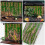 2Stk Aquarium Hintergrundplatte Simulierte Rinde 3D Terrarium 11