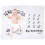 Baby Monatliche Für Flanell 8