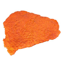 2Stk Fake Gebratene Hähnchenschnitzel Für Zuhause