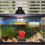 2Pcs De Quadrado Para Tropicais 9