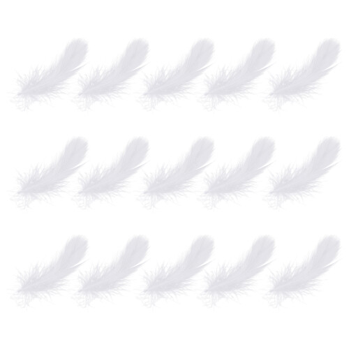 600 Unidades De De Cisne Para Decoração De E Interiores 2