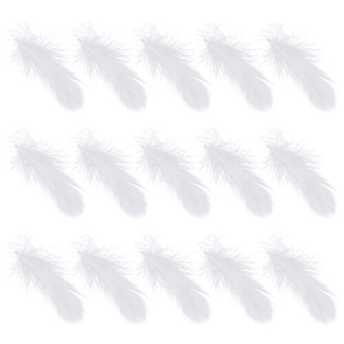 600 Unidades De De Cisne Para Decoração De E Interiores 1