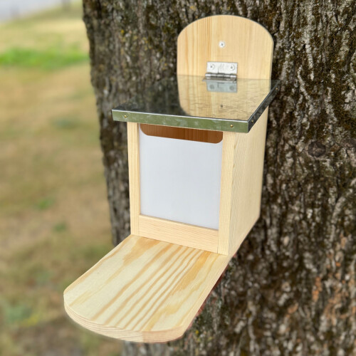 Selections Wooden Wall Mount Squirrel Feeder with Platform 1
