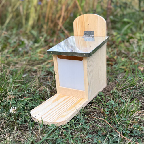 Selections Wooden Wall Mount Squirrel Feeder with Platform 2