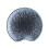 2Pcs Cerâmica 5" Azul 10