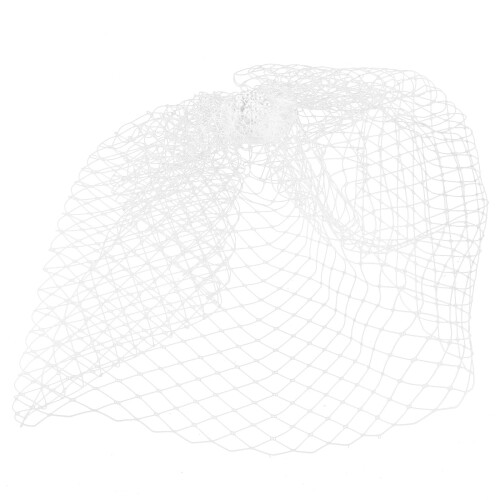 5 Stuks Birdcage Sluier Gezichtssluier Mesh Haaraccessoire