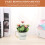 2Stk Simulation Bonsai Topfpflanze Kunstblume Desktop Ornament 10