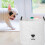 8 Spielzeug Aufbewahrungsbox Haustier Organizer 10