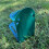 Selections Metal Squirrel Feeder with Flip Top Lid & Platform 4