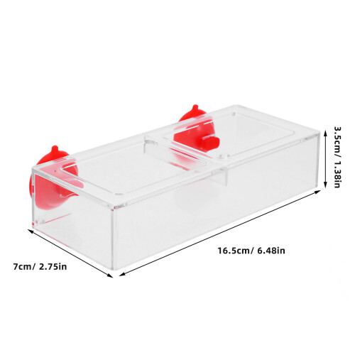 Fish Feeder Per In Acrilico Con Ventosa Dispenser 2