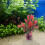 Planta Artificial Para Plástico Decoração 8