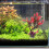 Planta Artificial Para Plástico Decoração 10