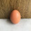 10St Diy Eieren Schilderen Speelgoed 10