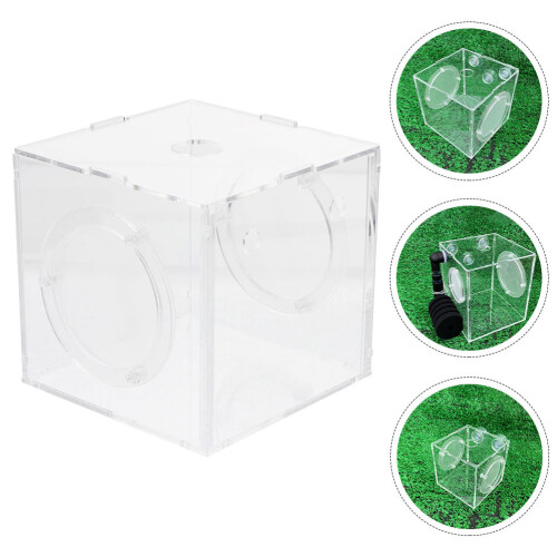 Fish Breeding Box, Hatchery, Isolationsbox, Zuchtbehälter, 1