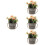 4Stk Künstliche Topfpflanzen Blumen Wohnaccessoire 8
