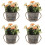 4Stk Künstliche Topfpflanzen Blumen Wohnaccessoire 7