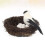 Creative Disposición Dormitorio con Nido, Huevo y Pájaro 10