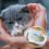 7 Pcs Durable Waterproof Cat Litter Box Liners Bags (S) 6