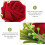 4 Pezzi Bouquet Boutonniere Nuziale Per Uomo E 11