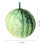 Watermelon Peluche Cuscino Frutta Bambini Regalo 3