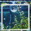 Fish Feeding Ring Galleggiante Con E Ventosa 10