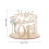 Set Primo Compleanno In Con 3