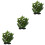 3 Peças Planta Aquática Artificial Plástico Para 5
