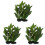 3 Peças Planta Aquática Artificial Plástico Para 2