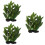 3 Peças Planta Aquática Artificial Plástico Para 7